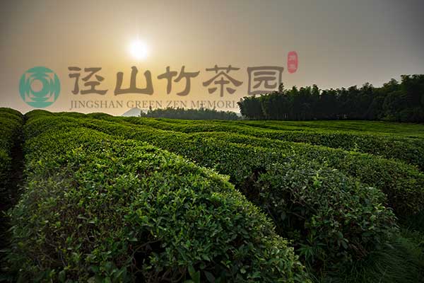 杭州径山竹茶园墓地购买指南：环境、文化及价格的考量 