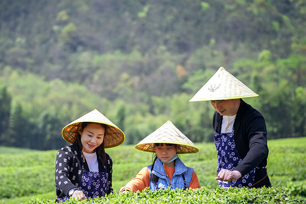 杭州径山公墓陵园生命文化，涵盖了对生命的尊重、保护和关怀！